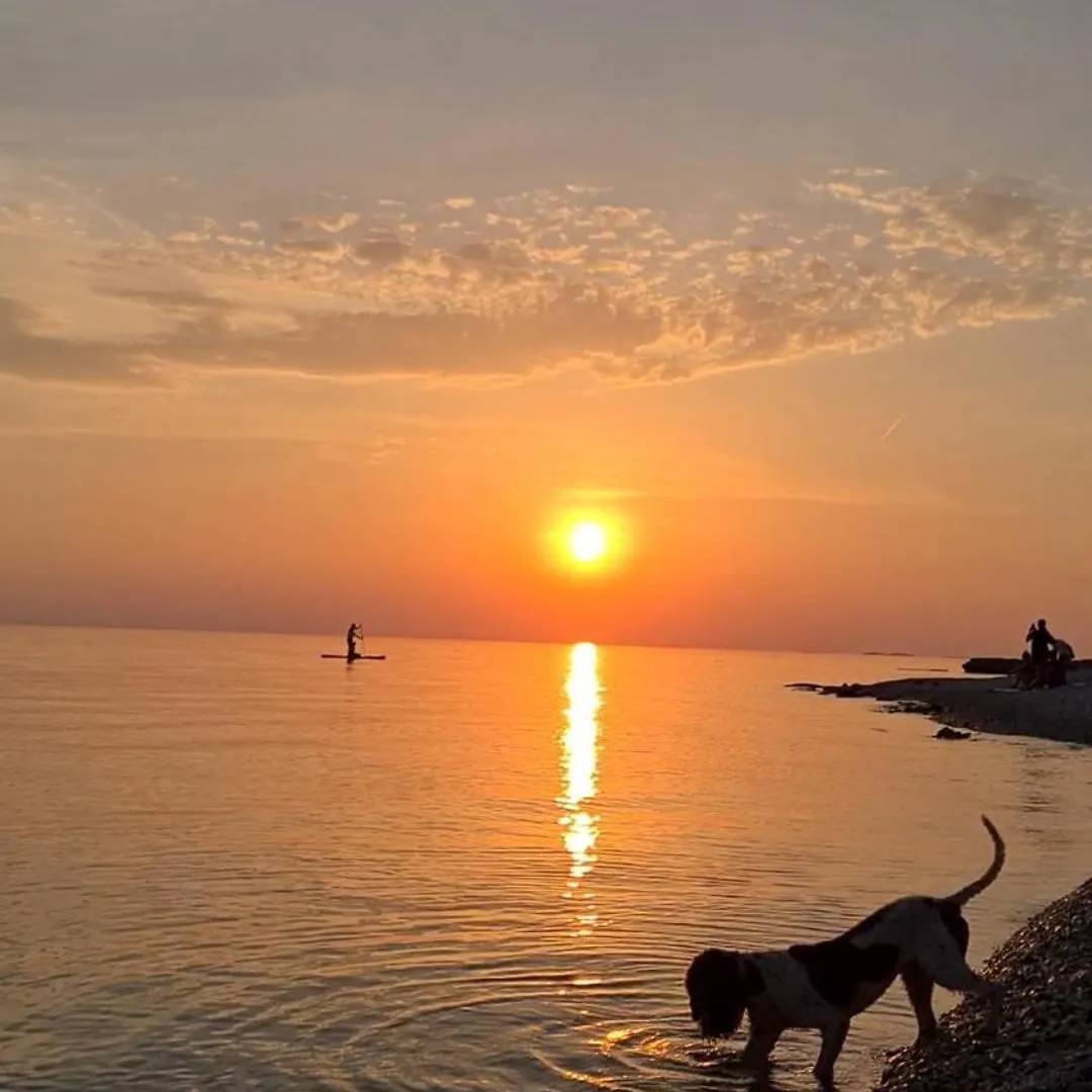 Holiday Home Smokvin Hlad Peroj Croatia